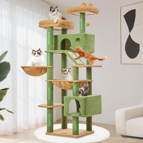 Taoqimiao cactus cat - taoqimiao,